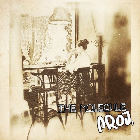the-molecule-proj-no-vice-2013-cover