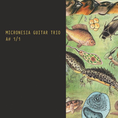 micronesia-guitar-trio-a-1-1-2014-cover