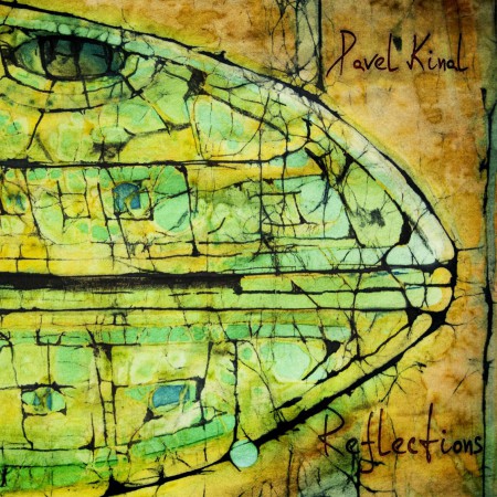 pavel-kinal-reflections-2014-cover