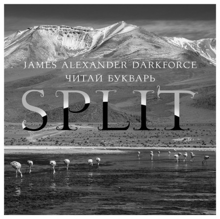 james-alexander-darkforce-bookwar-split-2014-cover